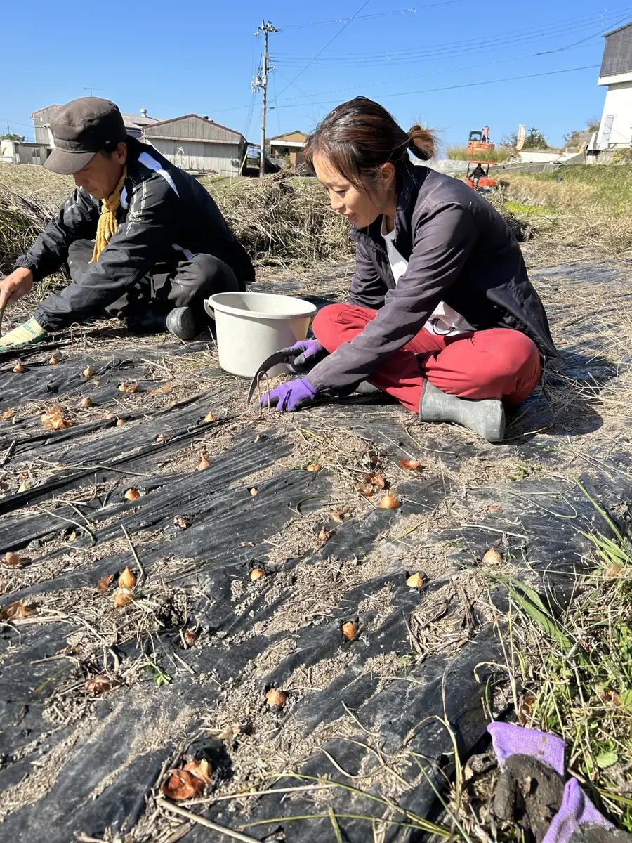 淡路島の畑でともに玉ねぎを植える二人